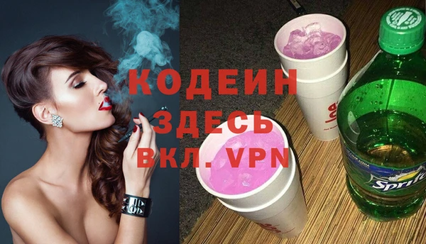 хмурый Лиски