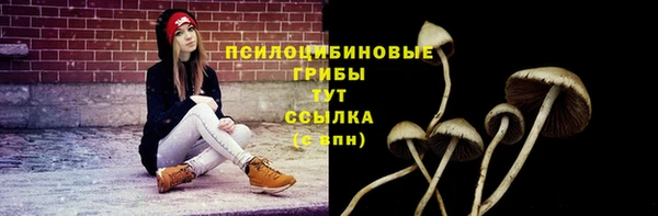 хмурый Лиски