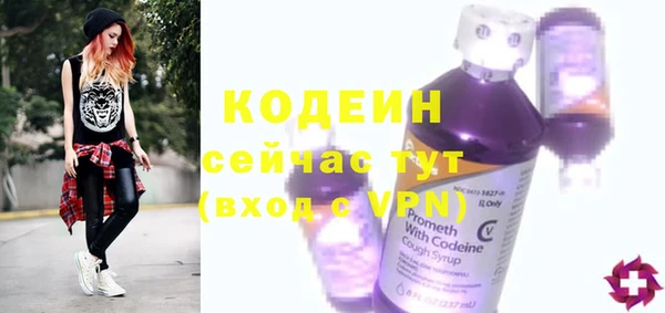 хмурый Лиски