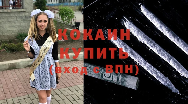 хмурый Лиски