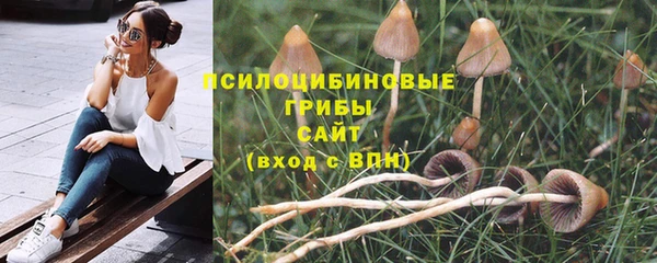 молекула духа Лихославль