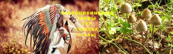 хмурый Лиски