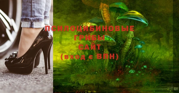 молекула духа Лихославль
