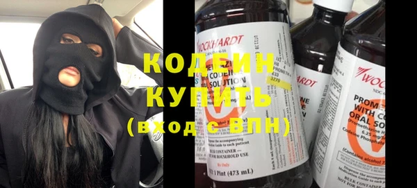 хмурый Лиски