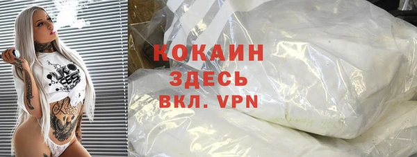хмурый Лиски