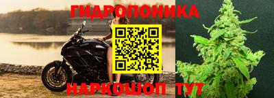 мяу мяу мука Брянск