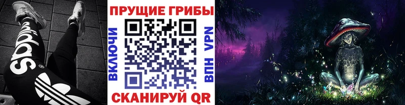 наркота  Липецк  Галлюциногенные грибы мухоморы 