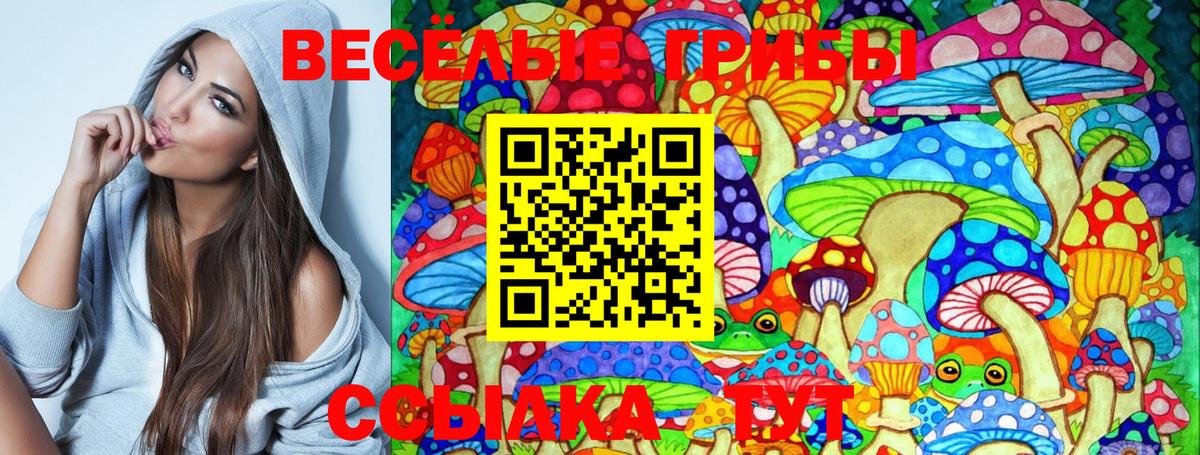 Псилоцибиновые грибы GOLDEN TEACHER  Вход с VPN  Липецк 